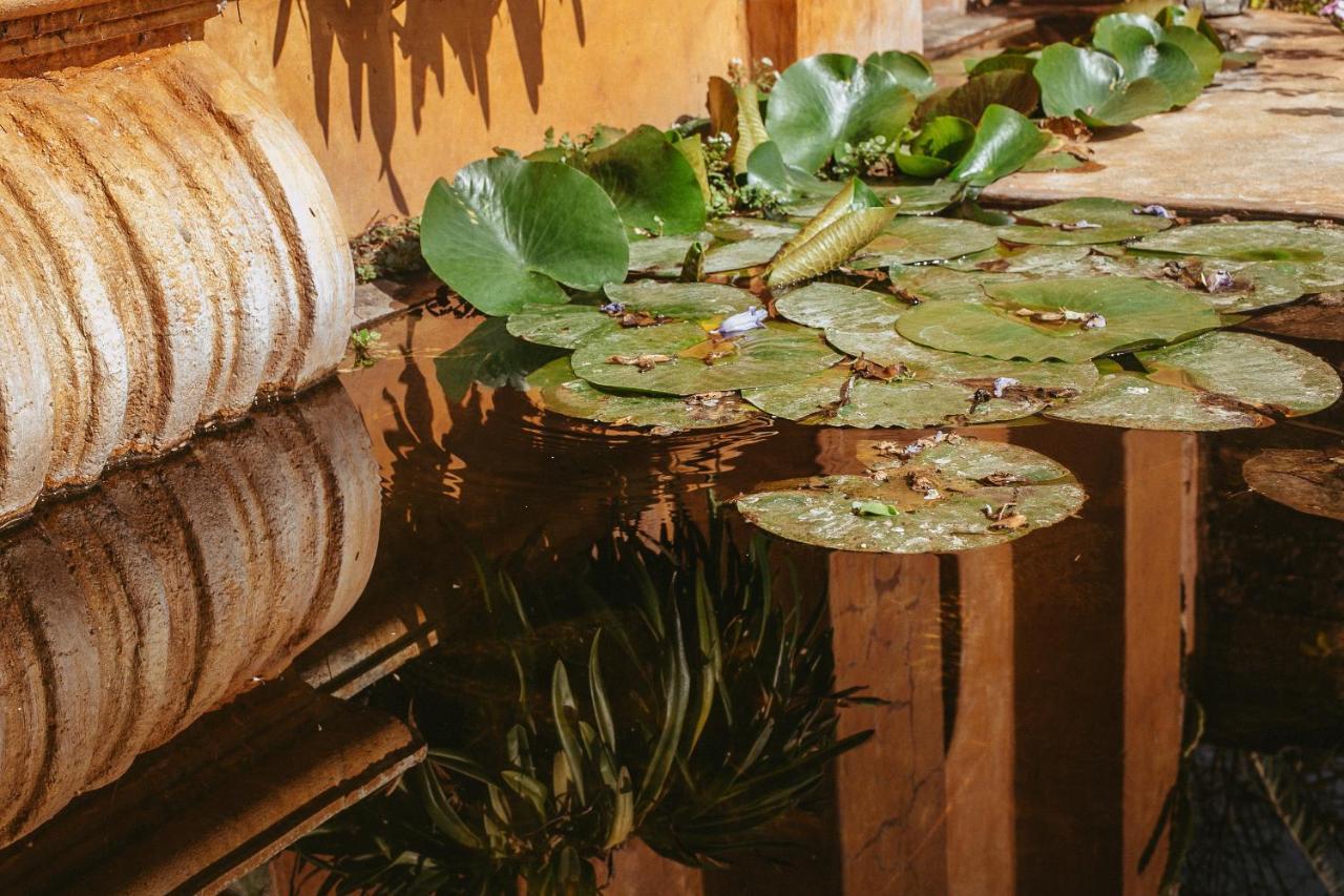 Quinta Cielo - Hotel Boutique Y Restaurante 말리날코 외부 사진