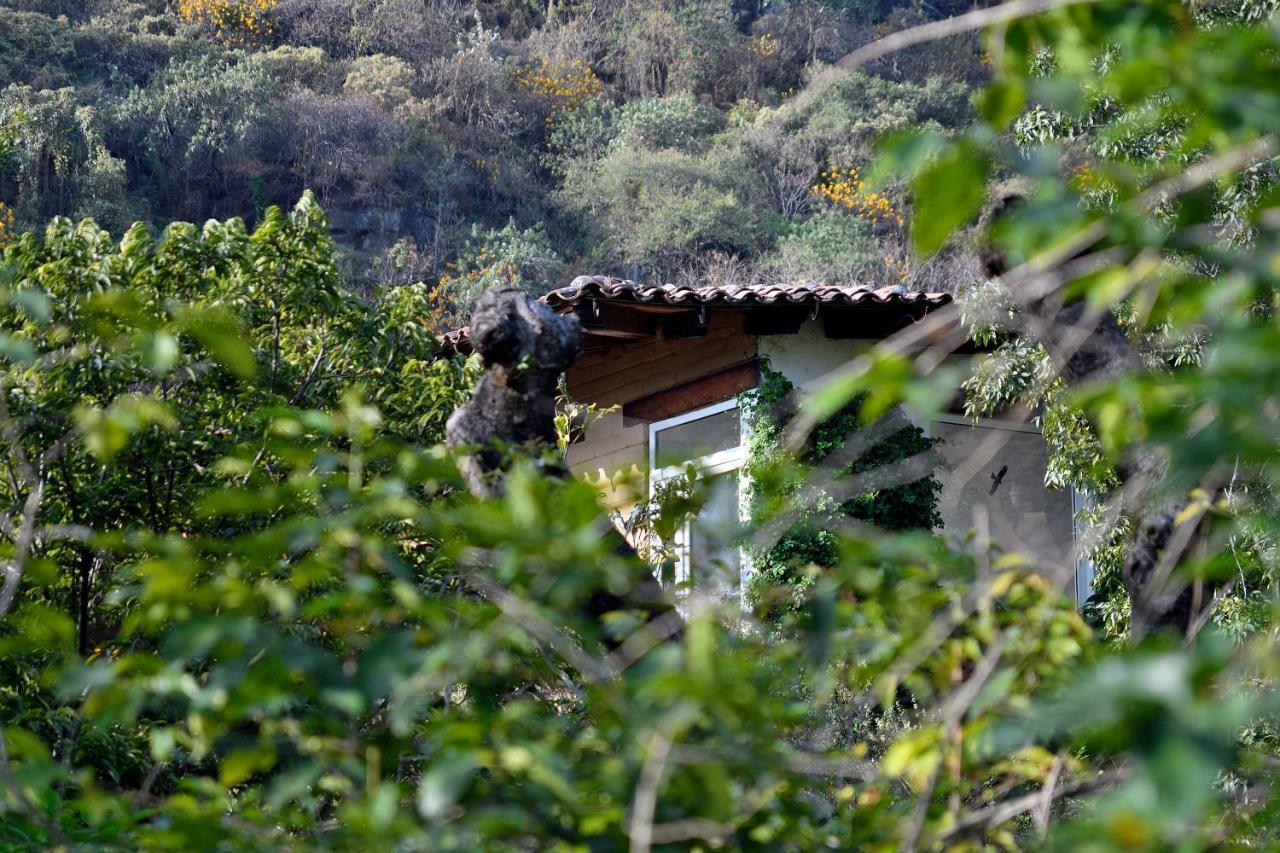 Quinta Cielo - Hotel Boutique Y Restaurante 말리날코 외부 사진