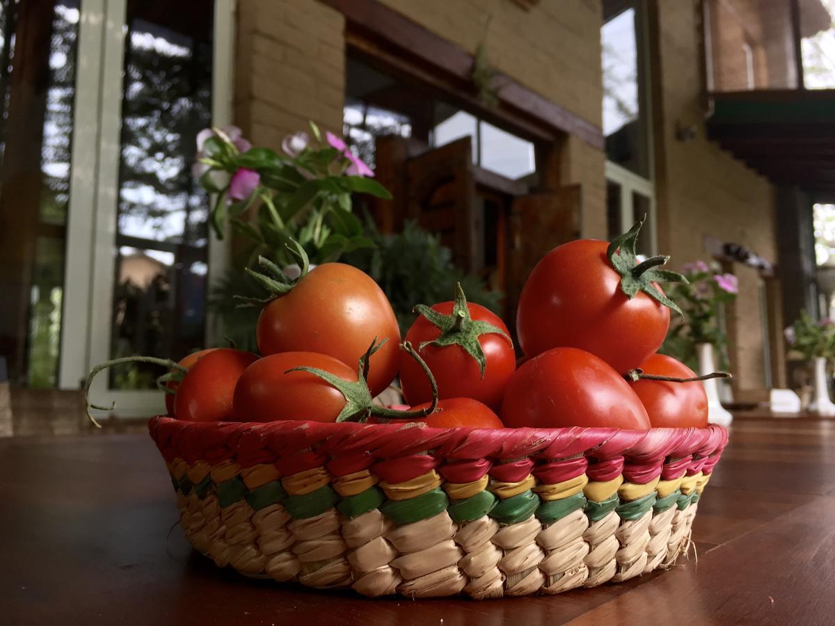 Quinta Cielo - Hotel Boutique Y Restaurante 말리날코 외부 사진